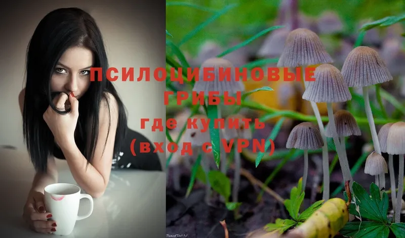 Псилоцибиновые грибы Magic Shrooms  мориарти официальный сайт  Омск 